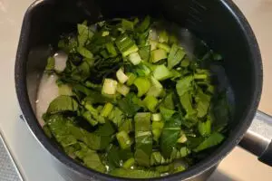 sirabee20260326komatsuna6