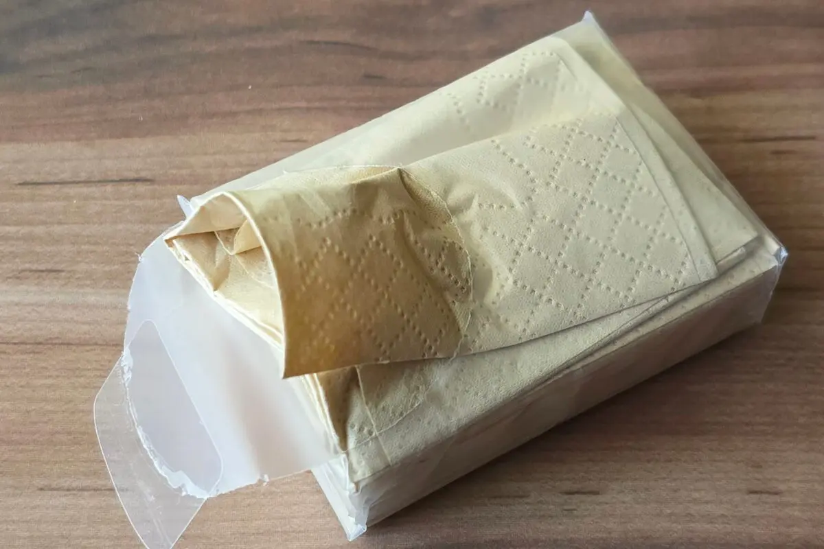 sirabee20260326paper4