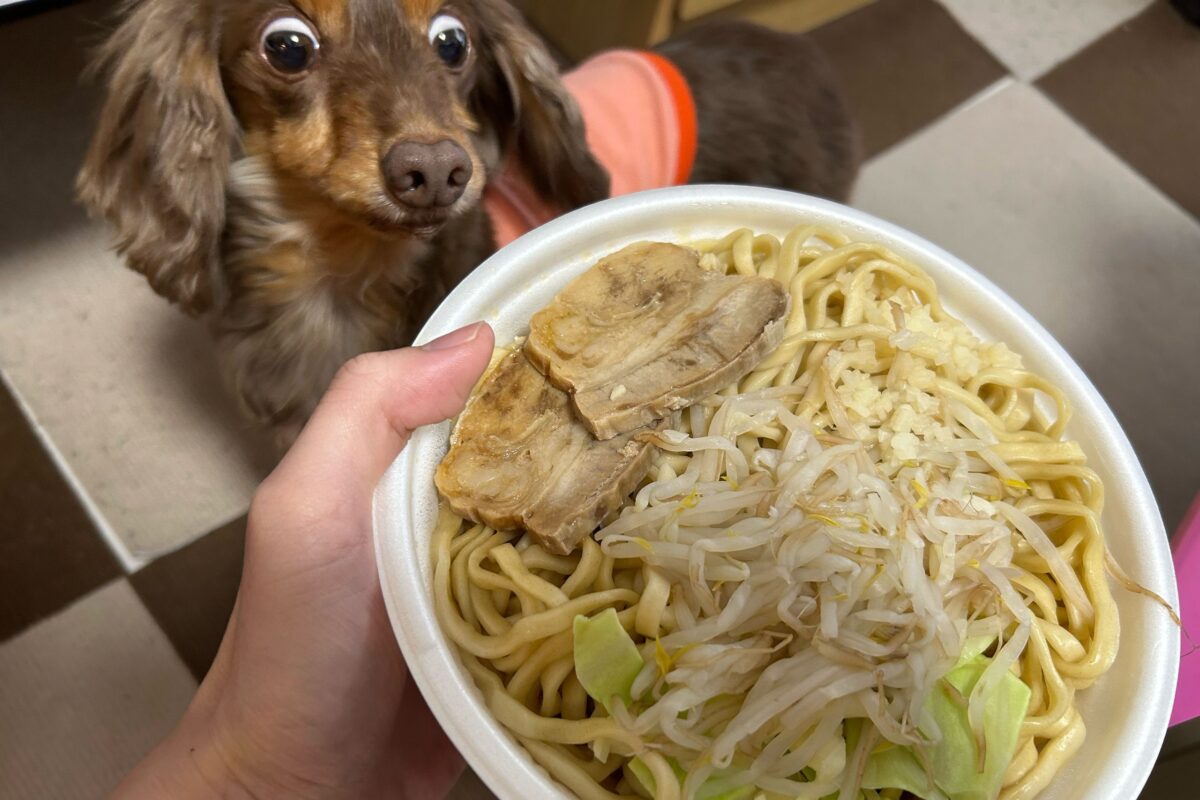 なぜか45％増量作戦「ラーメン荘 歴史を刻め監修 豚ラーメン」