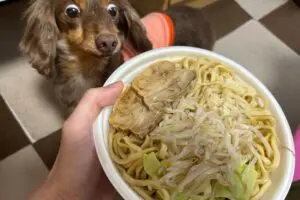 sirabee20260327familymart7