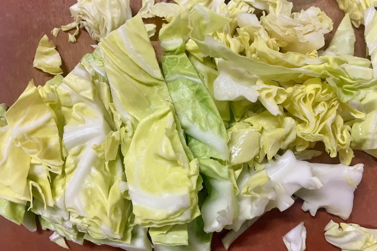 sirabee20260327tuna5