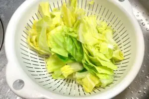 sirabee20260327tuna6