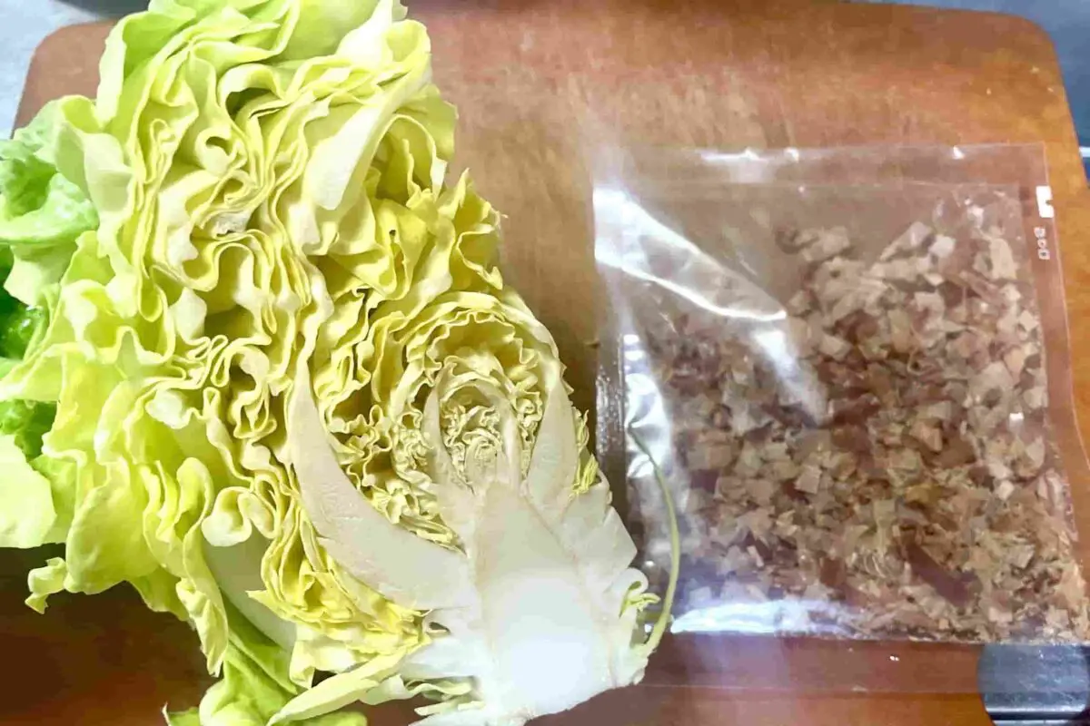 sirabee20260329cabbage1