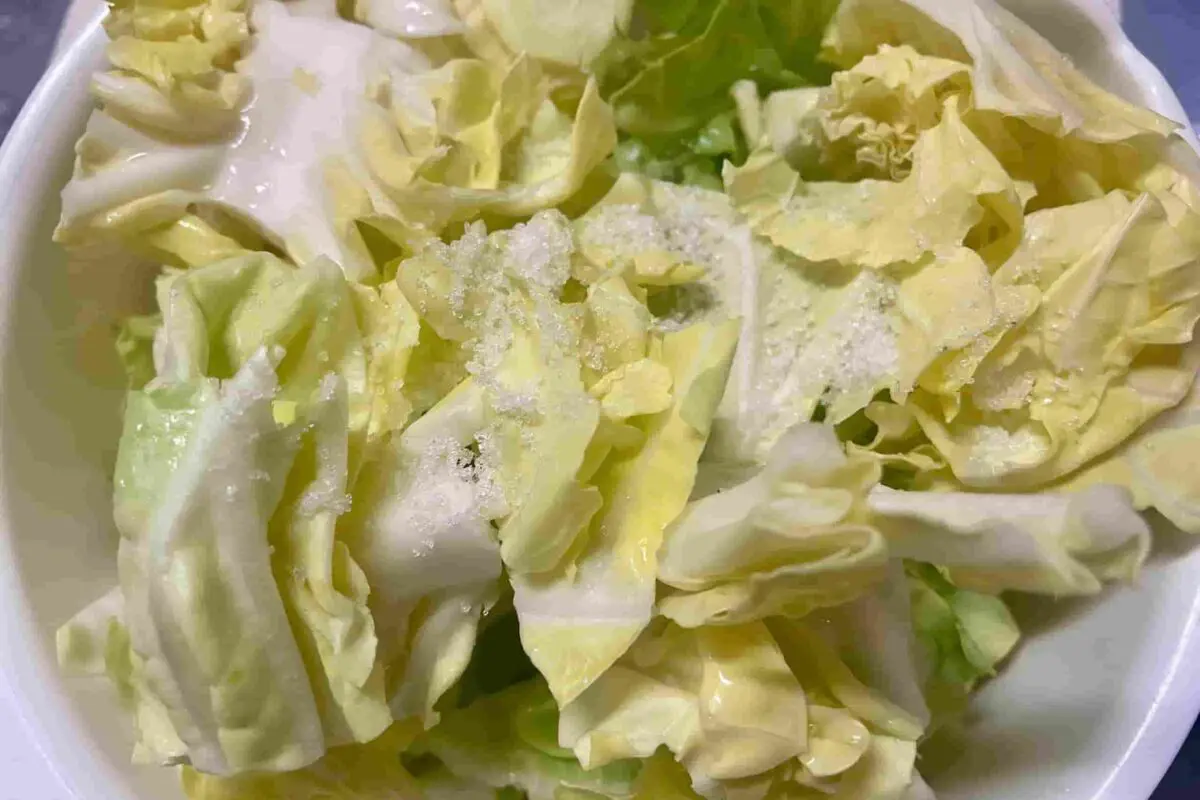 sirabee20260329cabbage2