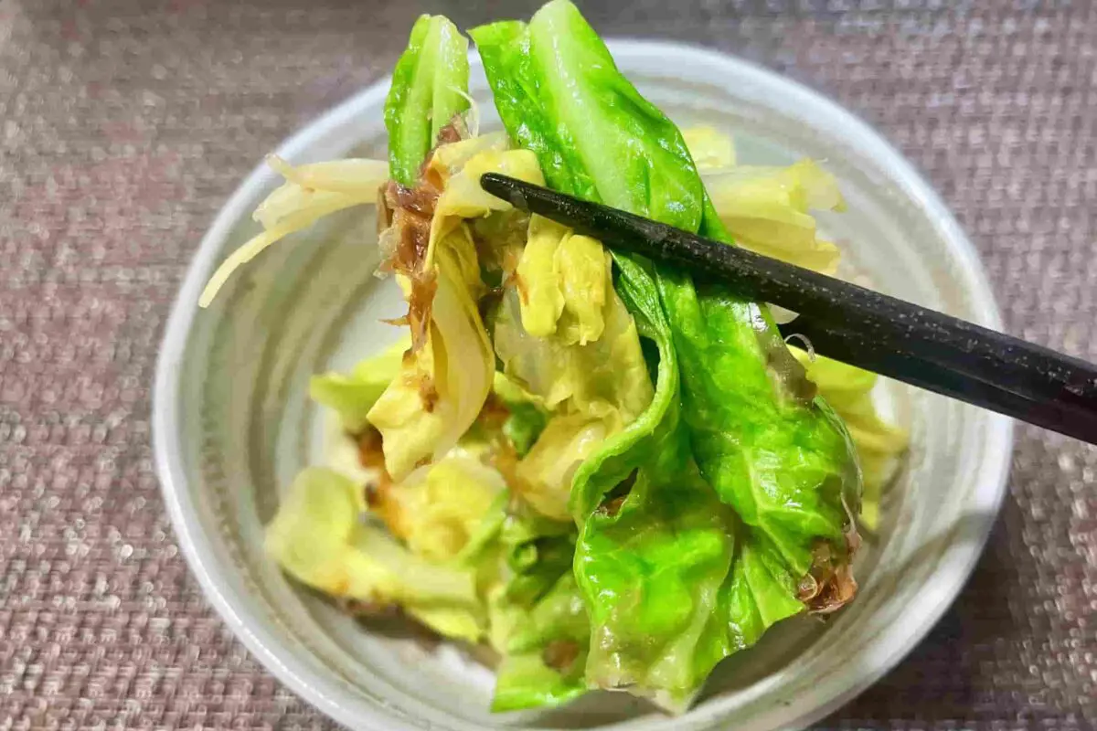 sirabee20260329cabbage6