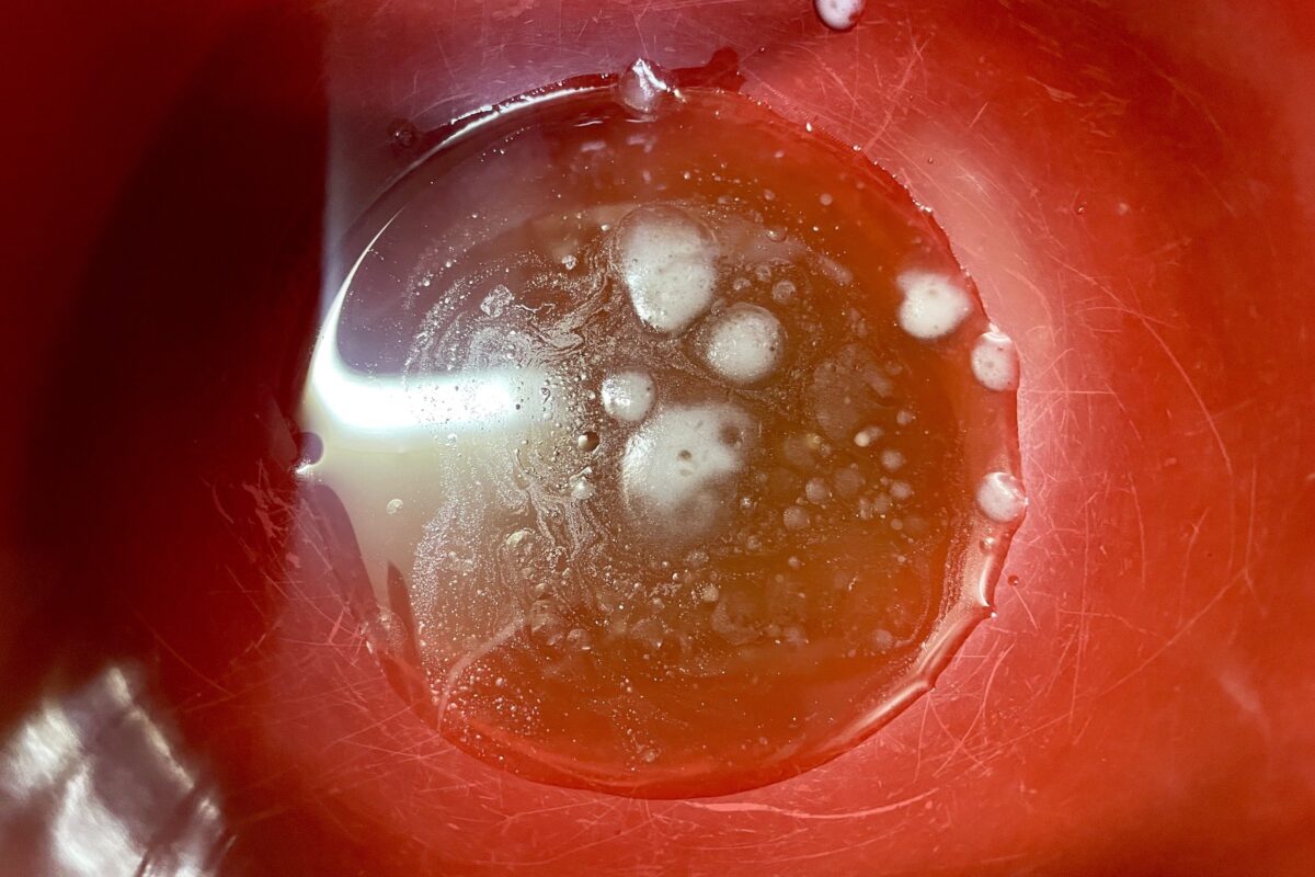 北海帆立旨塩らーめん