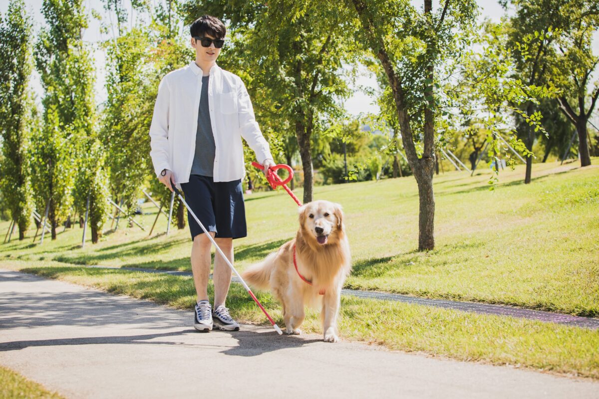 盲導犬とユーザー