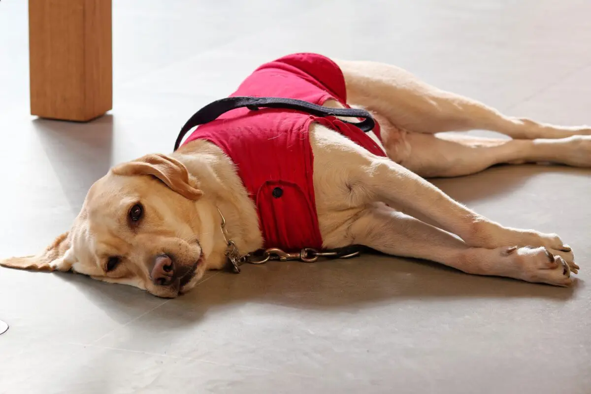 GettyImages-1197052617