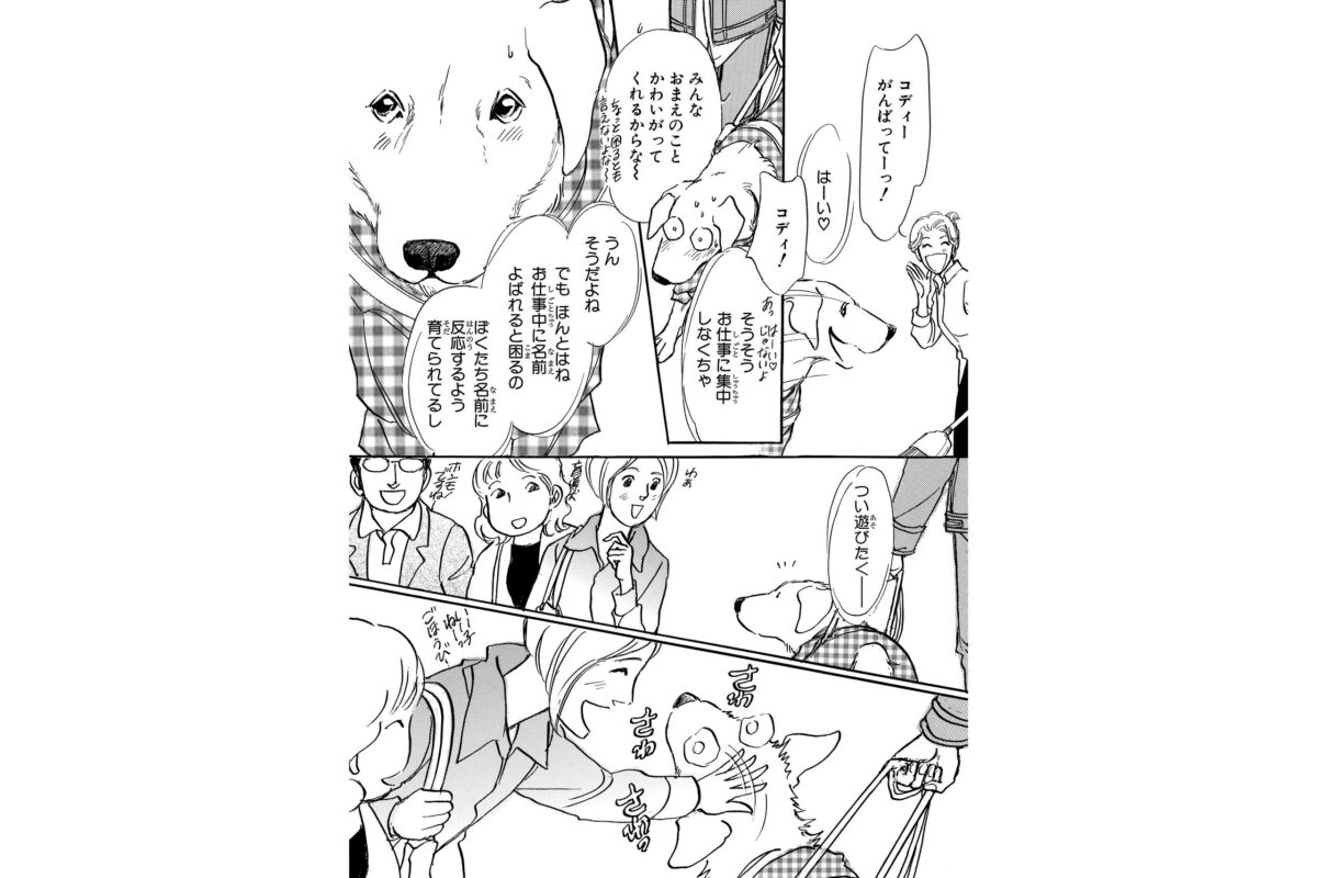 『いっしょにあるこうね 盲導犬コディ』
