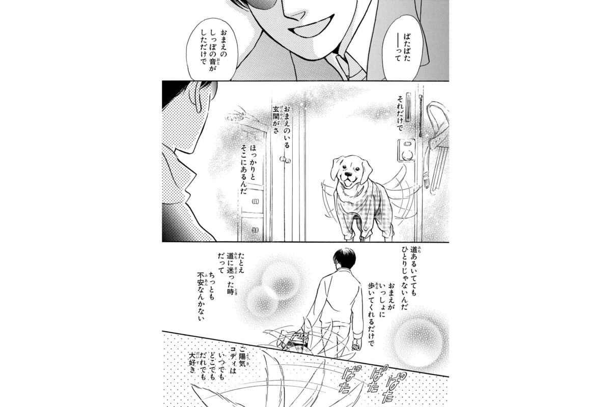 『いっしょにあるこうね 盲導犬コディ』