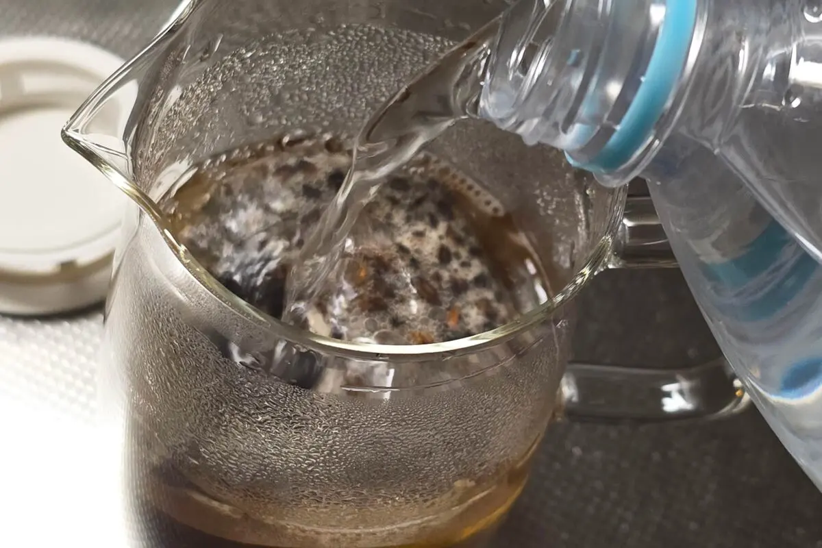 sirabee20260401mugi7