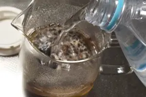 sirabee20260401mugi7