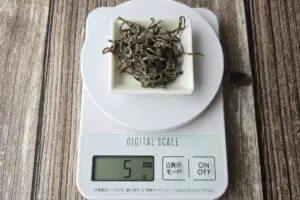 sirabee20260401scale7