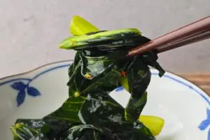 sirabee20260404komatsuna11