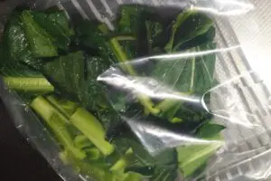 sirabee20260404komatsuna2