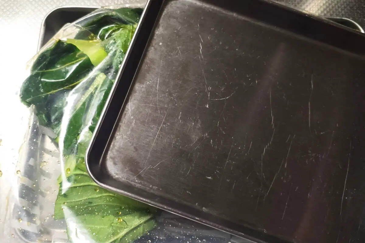 sirabee20260404komatsuna5