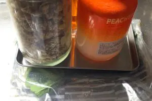 sirabee20260404komatsuna6