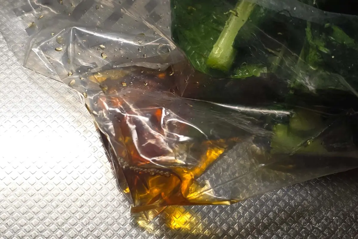 sirabee20260404komatsuna7