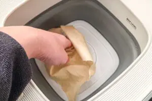 sirabee202604063coins10