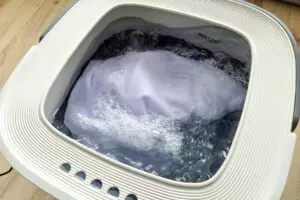 sirabee202604063coins11