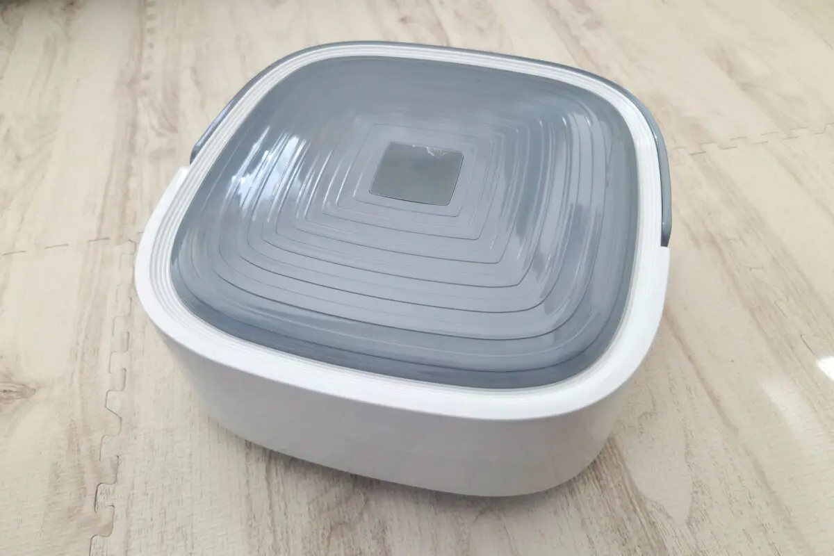 sirabee202604063coins2