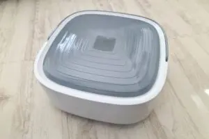 sirabee202604063coins2