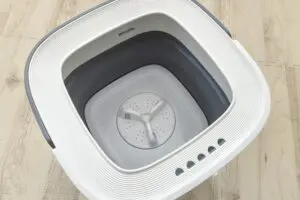 sirabee202604063coins5