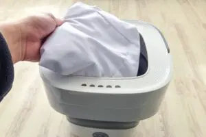 sirabee202604063coins6