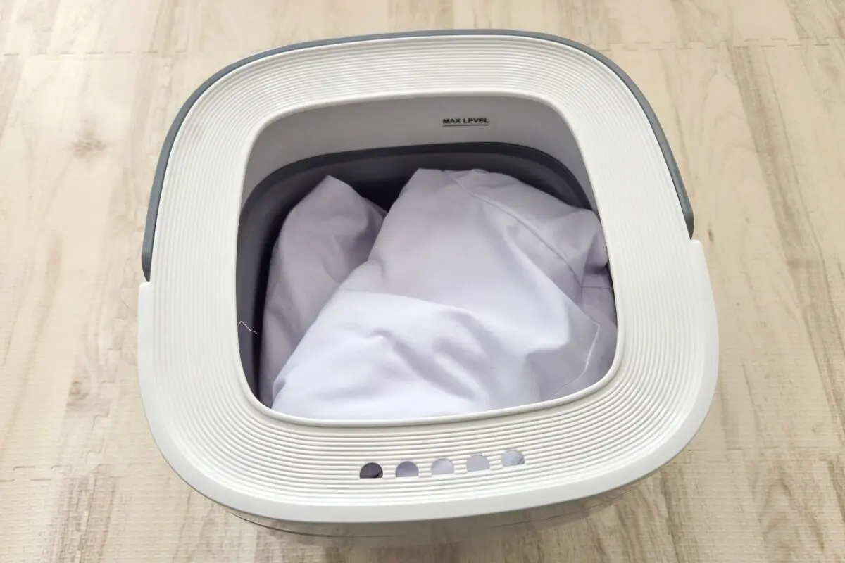 sirabee202604063coins7