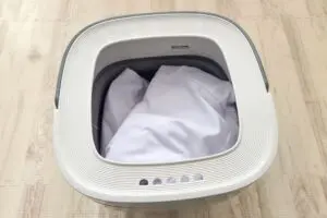 sirabee202604063coins7