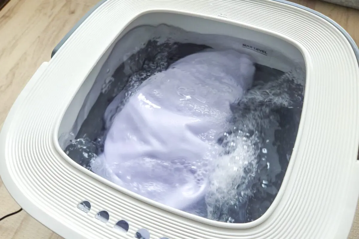 sirabee202604063coins9