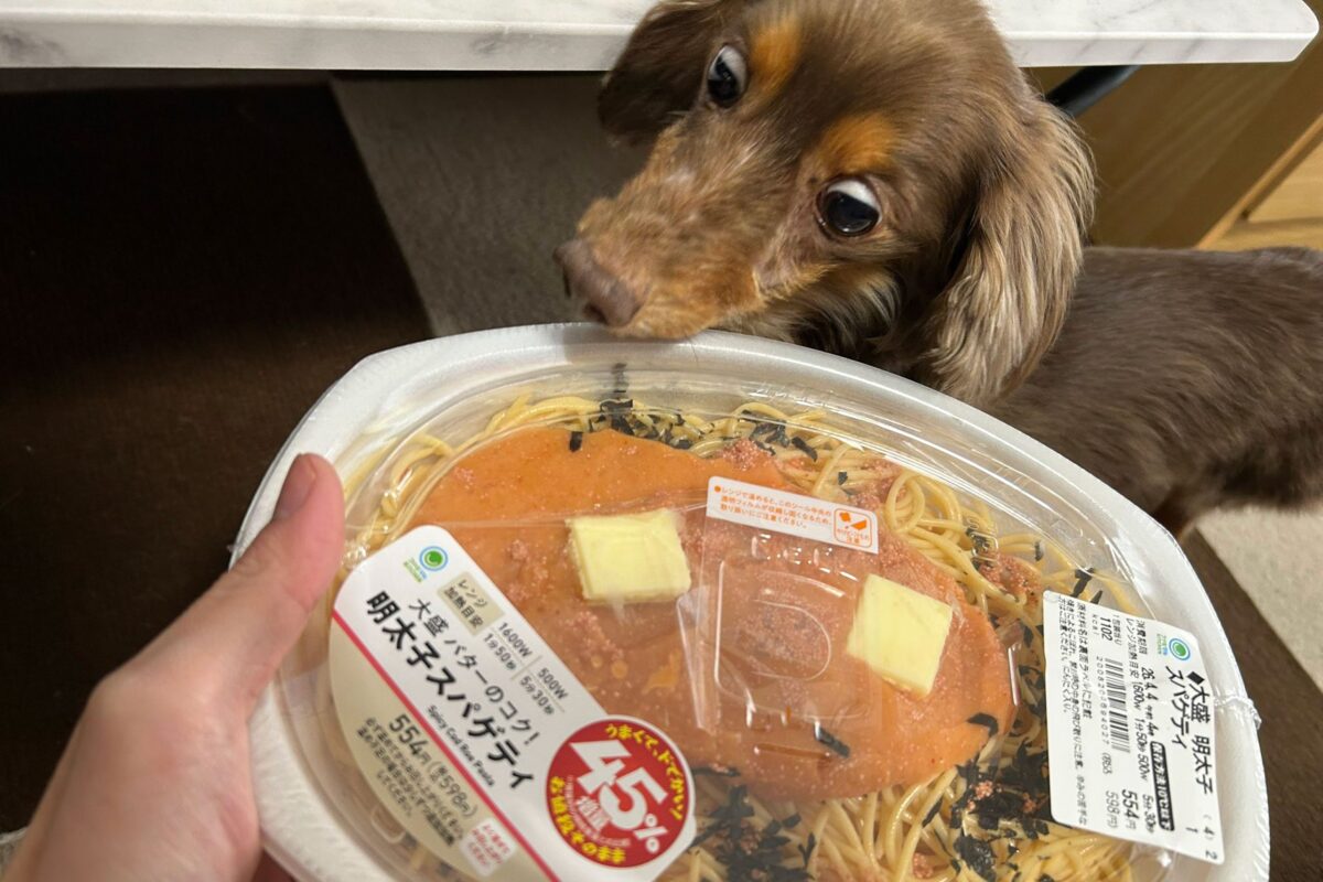 ファミマの増量スパゲッティとちるくん