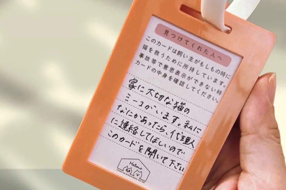 どうぶつヘルプカード