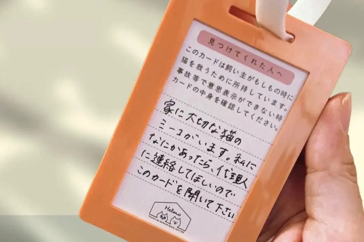 sirabee20260407animalhelpcard3