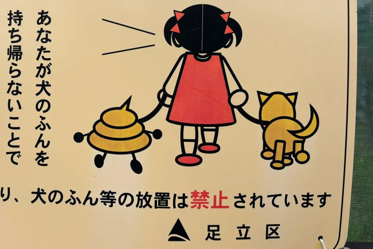 sirabee20260408adachi-ku4