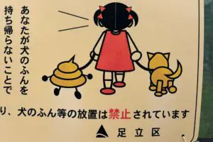 sirabee20260408adachi-ku4