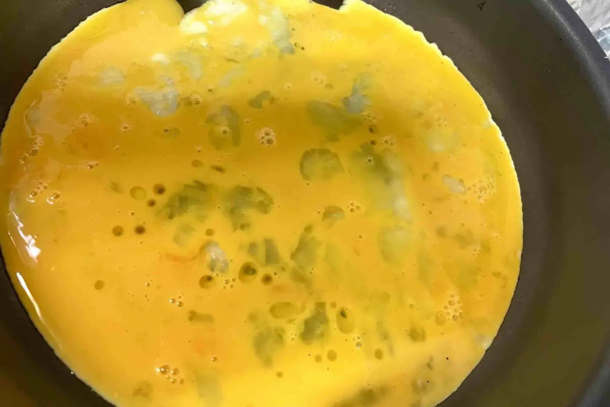 sirabee20260410moyashi2