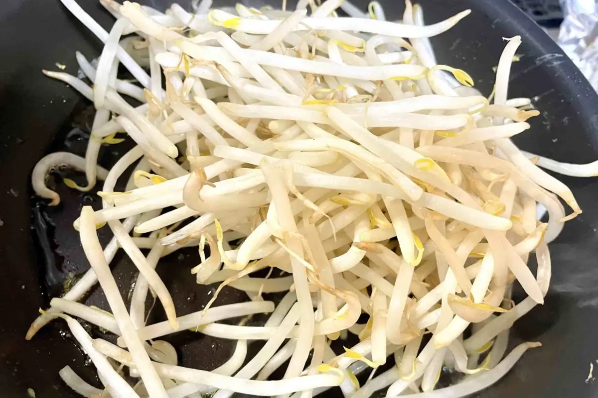 sirabee20260410moyashi7