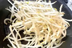 sirabee20260410moyashi7