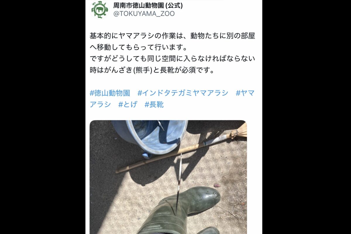 周南市徳山動物園X