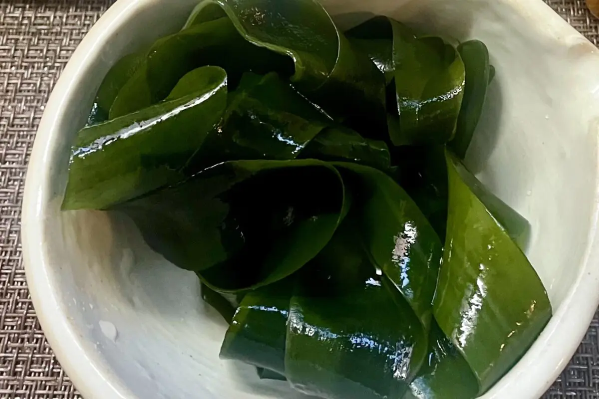 sirabee20260413nuta1