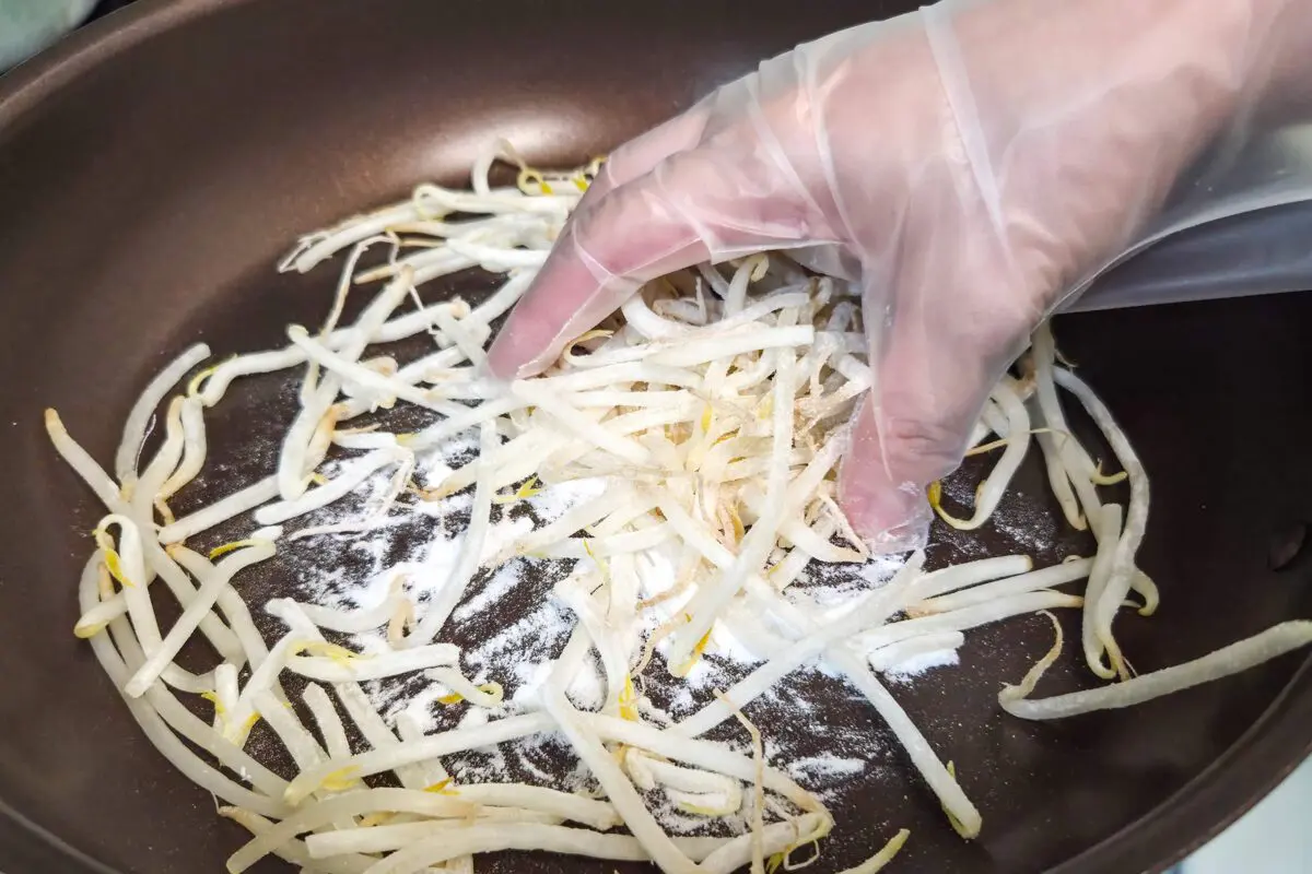 sirabee20260414moyashi4