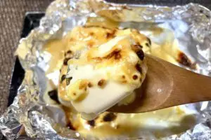 sirabee20260416tofu5