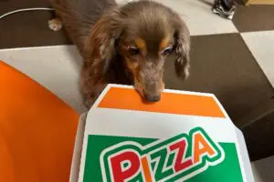 sirabee20260417pizza2