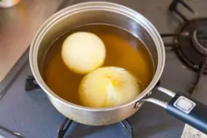 sirabee20260417shintamanegi5