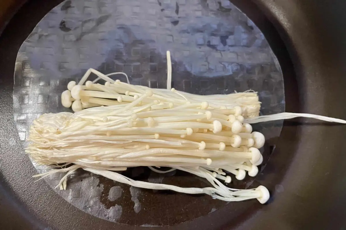 sirabee20260418enoki3