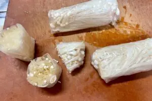 sirabee20260418enoki4