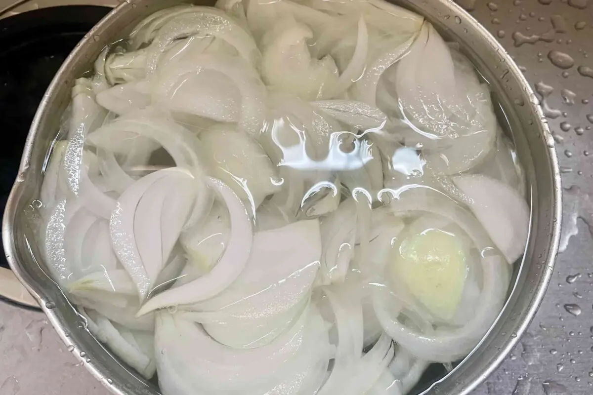 sirabee20260419onion7