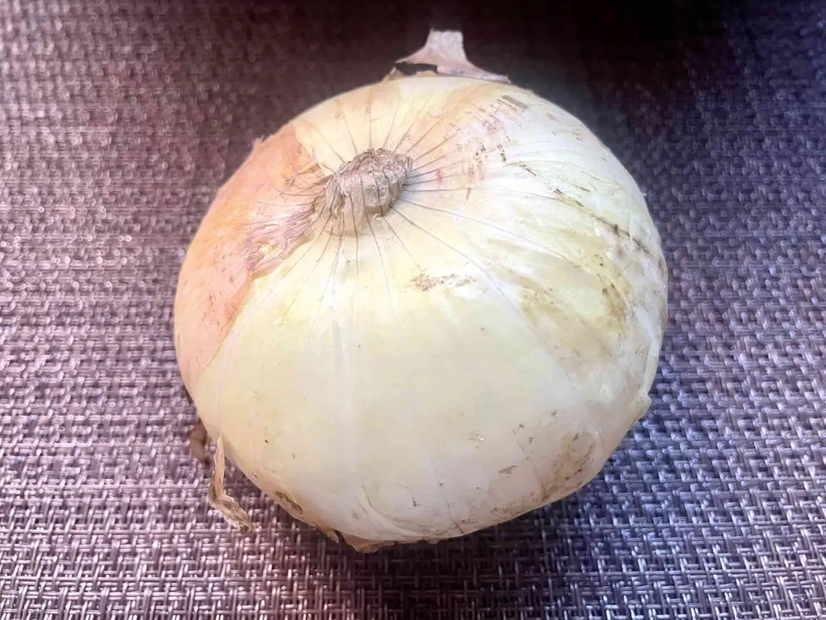 sirabee20260419onion8