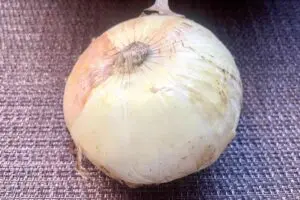 sirabee20260419onion8